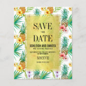 Begroting Tropische ananas & Hibiscus sparen de da (Voorkant)