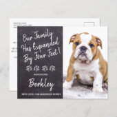 Begroting uitgebreid met vier-vijfde nieuwe Pet Pu (Voorkant / Achterkant)