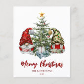 Begroting Vakkerkerkerstakkerij Gnomen-vakantiekaa (Voorkant)