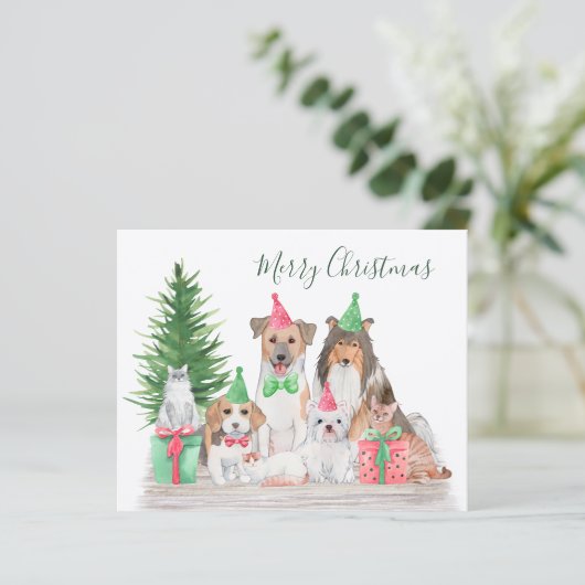 Begroting voor kerstdieren Dog Cat Puppy Kitten (Staand voorkant)