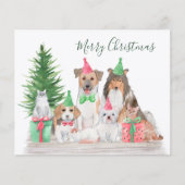 Begroting voor kerstdieren Dog Cat Puppy Kitten (Voorkant)