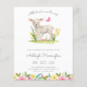 Begroting Waterverf Baby shower voorjaarstop (Voorkant)