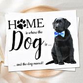 Begroting We hebben Cute Dog Moving Announcement v