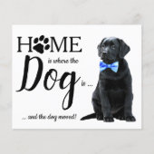 Begroting We hebben Cute Dog Moving Announcement v (Voorkant)