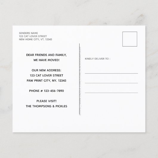 Begroting We hebben de aankondiging van Cat Pet Mo (Achterkant)