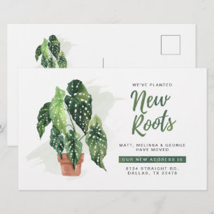 Begroting We hebben de aankondiging van Roots Movi