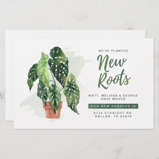 Begroting We hebben de aankondiging van Roots Movi (Voorkant / Achterkant)