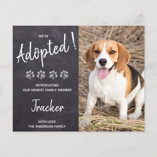 Begroting We hebben een nieuwe versie van het 'Dog (Voorkant)