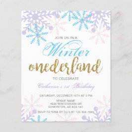 Begroting winter nederland 1ste verjaardag blauwe 