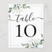 BEGROTINGSBEDRIJFSDUUR Eucalyptustabelnummer (Voorkant)