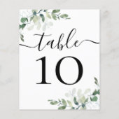 BEGROTINGSBEDRIJFSDUUR Eucalyptustabelnummer (Achterkant)