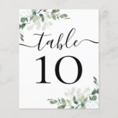 BEGROTINGSBEDRIJFSDUUR Eucalyptustabelnummer (Voorkant)