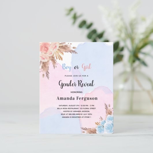 Begrotingsgender laat pampas roze blauwe gras zien (Staand voorkant)