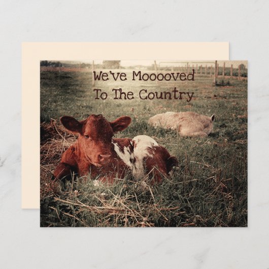 BegrotingsKoe Rustisch land Funny Boerderij Moving (Voorkant / Achterkant)