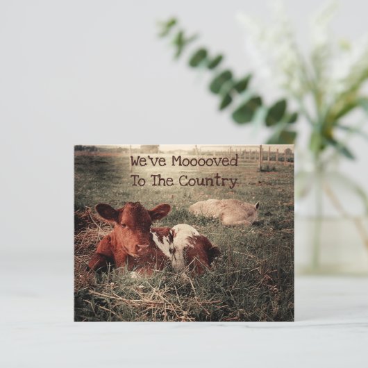 BegrotingsKoe Rustisch land Funny Boerderij Moving (Staand voorkant)