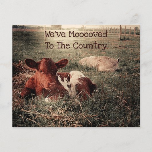 BegrotingsKoe Rustisch land Funny Boerderij Moving (Voorkant)