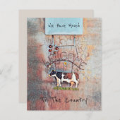 BegrotingsKoe Rustisch Land Western Boerderij Verp (Voorkant / Achterkant)
