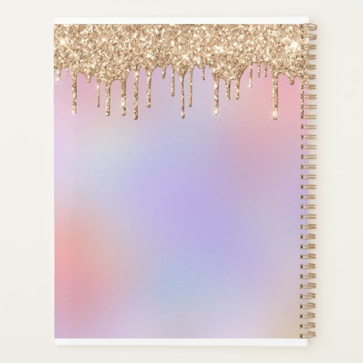 Begrotingsplanner Planner (Achterkant)