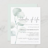 Begrotingsviering van de "Life Sage Eucalyptus Inv (Voorkant / Achterkant)