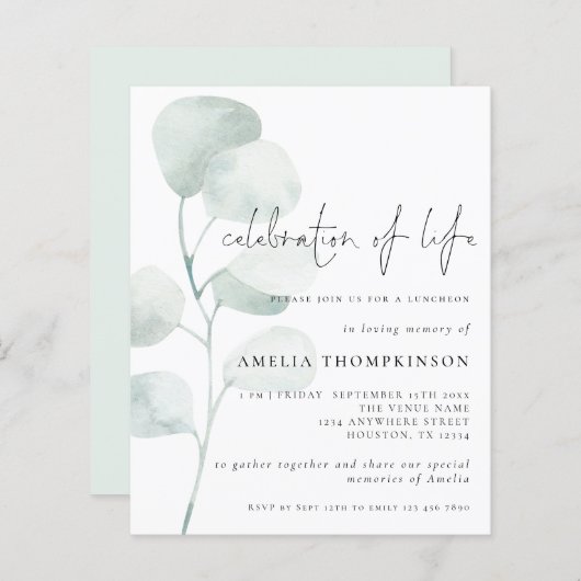 Begrotingsviering van de "Life Sage Eucalyptus Inv (Voorkant / Achterkant)