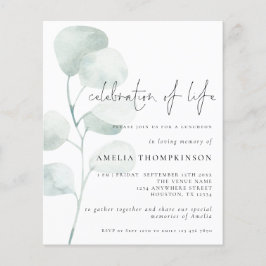 Begrotingsviering van de "Life Sage Eucalyptus Inv