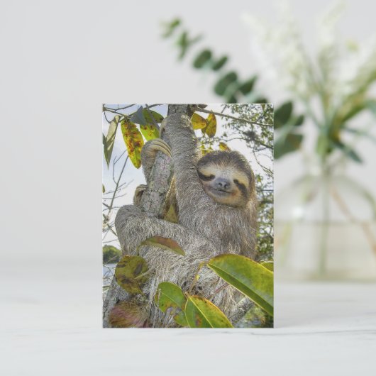 Behagen in het stille geboomte briefkaart (Staand voorkant)