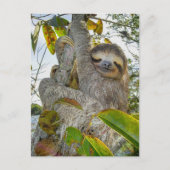 Behagen in het stille geboomte briefkaart (Voorkant)