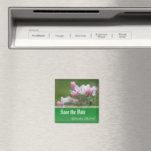 behalve de datum, appelbloemen magneet (Insitu (Vaatwasser))