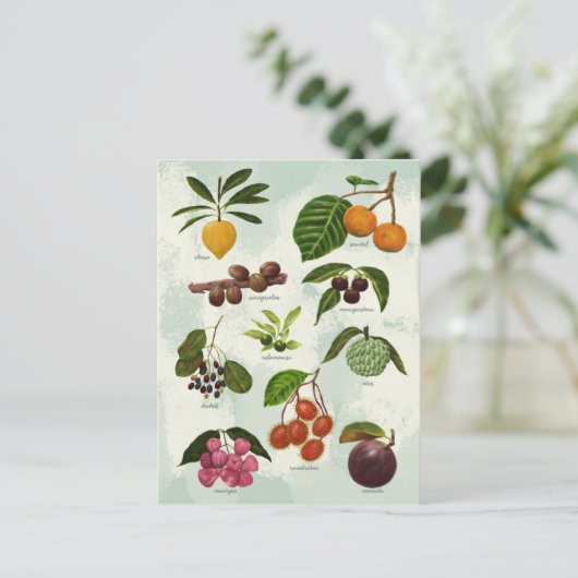 Behandelde exotische Filippijnse tropische vruchte Briefkaart (Staand voorkant)
