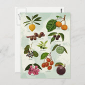 Behandelde exotische Filippijnse tropische vruchte Briefkaart (Voorkant / Achterkant)