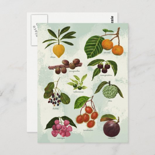 Behandelde exotische Filippijnse tropische vruchte Briefkaart (Voorkant / Achterkant)