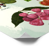 Behandelde exotische Filippijnse tropische vruchte Poster (Hoek)