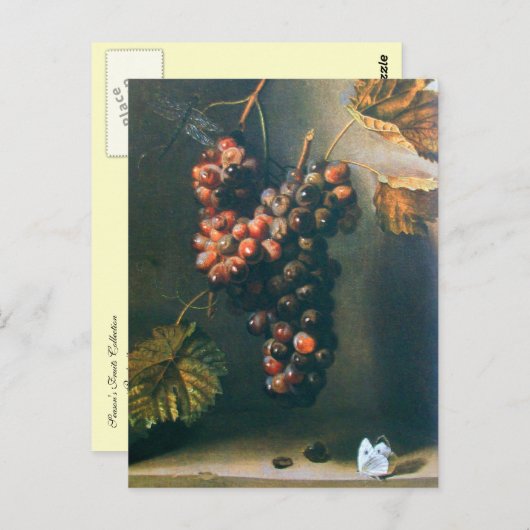 BEHANDELDE GRAPES RUSTISCH VINEYARD, WINERY, VITIC BRIEFKAART (Voorkant / Achterkant)