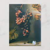 BEHANDELDE GRAPES RUSTISCH VINEYARD, WINERY, VITIC BRIEFKAART (Voorkant)