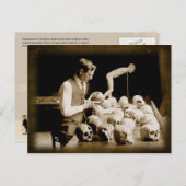 Behandelde menselijke schedels briefkaart (Voorkant / Achterkant)