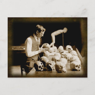 Behandelde menselijke schedels briefkaart