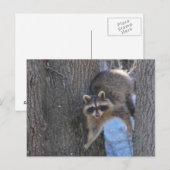 Behandelde munt ~ briefkaart (Voorkant / Achterkant)