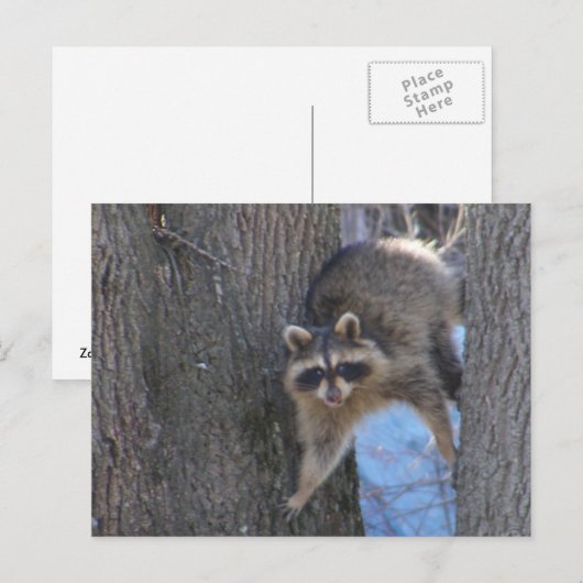 Behandelde munt ~ briefkaart (Voorkant / Achterkant)