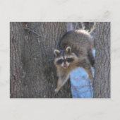 Behandelde munt ~ briefkaart (Voorkant)