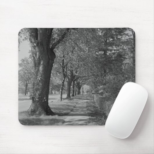 Behandelde straat met stoep muismat (Met muis)