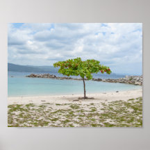 BEHANDELING OP GEDEELTE IN HET JAMAICA-POSTER