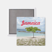 BEHANDELING OP GEDEELTE IN JAMAICA MAGNET (Voorkant / Achterkant)
