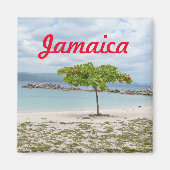 BEHANDELING OP GEDEELTE IN JAMAICA MAGNET (Voorkant)