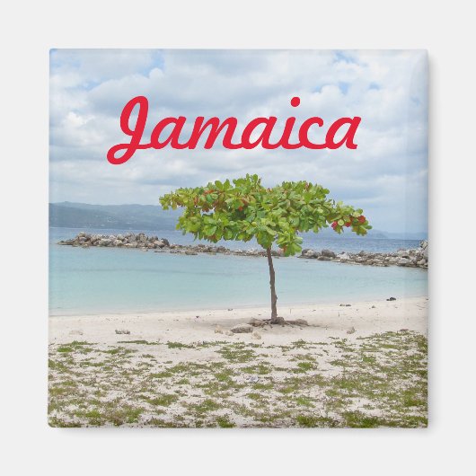 BEHANDELING OP GEDEELTE IN JAMAICA MAGNET (Voorkant)