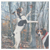Behandeling van walker Coonhound Fabric om over te Stof (Close Up)
