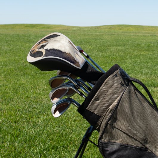 Behandeling van walker Coonhound-schilderijen - Oo Golfheadcover (Insitu)