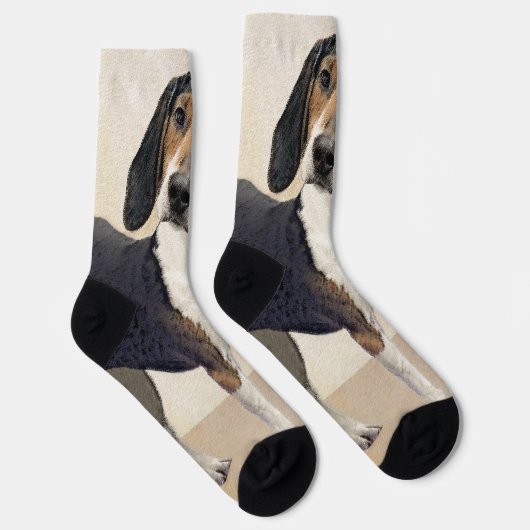 Behandeling van walker Coonhound-schilderijen - Oo Sokken (Rechts)