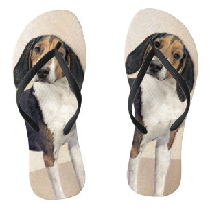 Behandeling van walker Coonhound-schilderijen - Oo Teenslippers