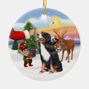 Behandeling voor een Berner Sennenhond Keramisch Ornament