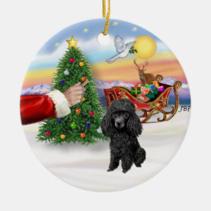 Behandeling voor een speelgoed of Min. Zwarte Pood Keramisch Ornament